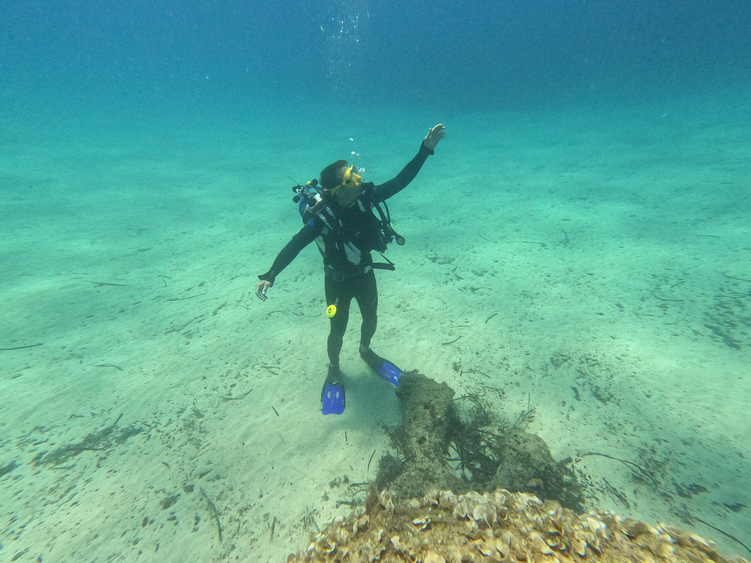 DCIM100GOPROGOPR3361.JPG