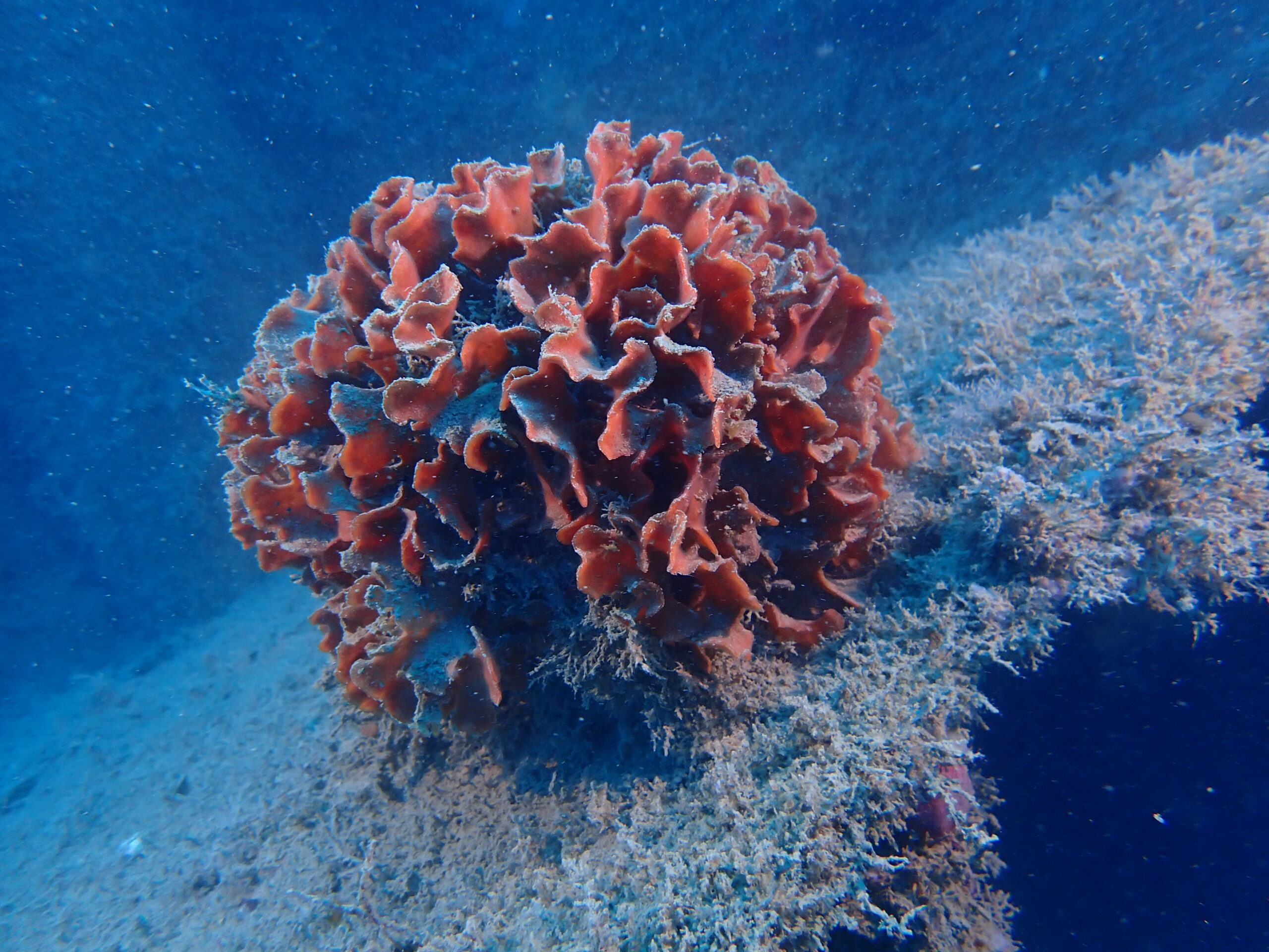 P9145019